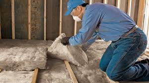 Best Wall Insulation Installation in Ferrysburg, MI