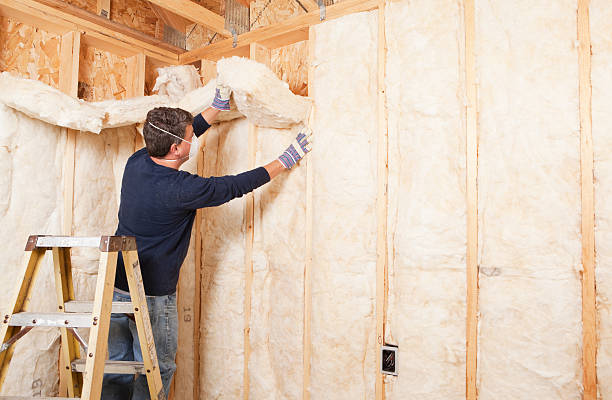 Best Attic Insulation Installation in Ferrysburg, MI